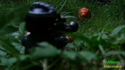 Bilingual Bug - Playmobil Videomaker