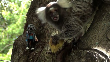 Facing Risks - Playmobil Videomaker