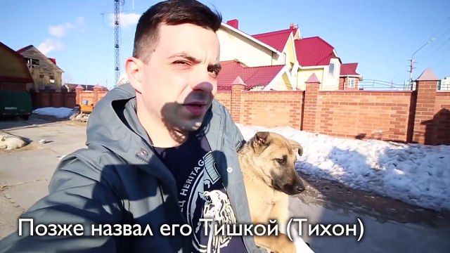 Щенок играет со слепой собакой! Перелом срастается. Позитивное видео