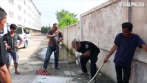 Python Trapped In Drain Pipe