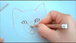 Come disegnare un gatto. Corso di disegno per bambini. how to draw cat