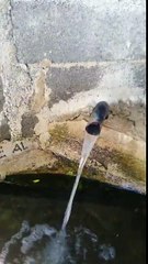 Burimi i ujit vajguror , Burizanë- Krujë