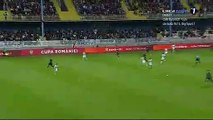 1-2 Petrișor Petrescu Goal Romania  Cupa Romaniei  Semifinal - 10.05.2018 Gaz Metan Medias 1-2 FC...