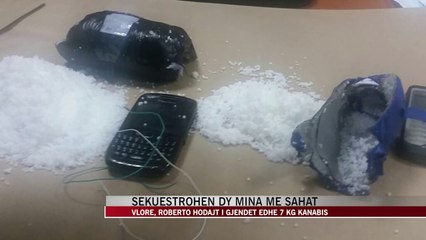 Vlorë, sekuestrohen dy mina me sahat - News, Lajme - Vizion Plus