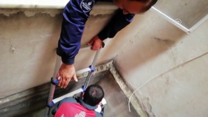 İtfaiye ekiplerinin martı operasyonu - İSTANBUL