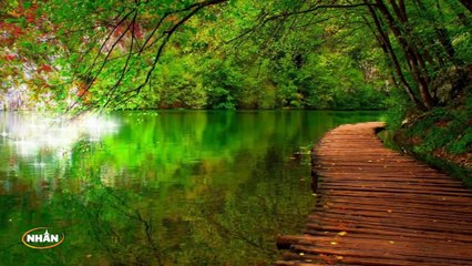 Bởi Vì Anh Yêu Em (Karaoke Beat) - Tone Nam