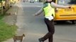 Indonesian Police Officer Cuts Off Traffic to Help Cat Cross the Road, Twice