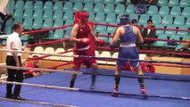 Okul Sporları B Gençler Boks Türkiye Şampiyonası - ERZİNCAN