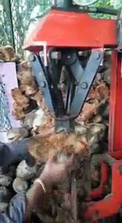 COCONUT MACHINE
