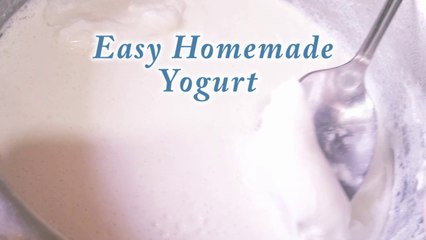 How To Make Thick Creamy YOGURT/DAHI /CURD At Home
