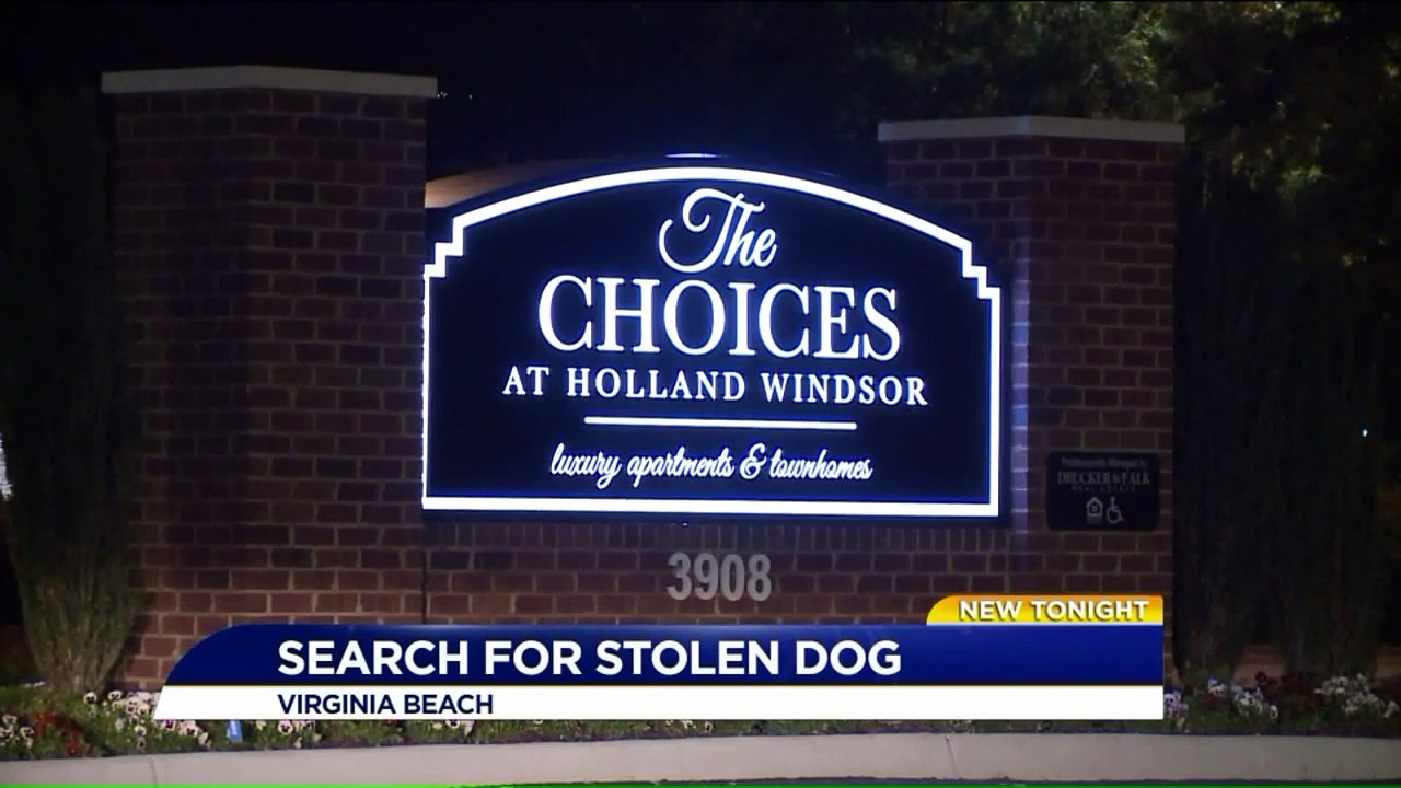 Pregnant Navy Sailor's Apartment Door Kicked In, French Bulldog Taken