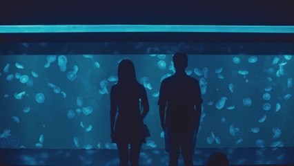 YOUniverse- Todos los episodios. Sub español