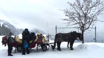 “Të shpallet Dielli në kërkim” - Top Channel Albania - News - Lajme