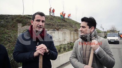 Vazhdon fushata e mbjelljes se pemeve nga Bashkia