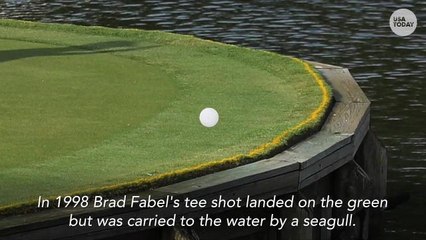 The Players Championship 2018: What you need to know about the 17th hole