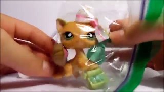 My New LPS Package From eBay! LPS Unboxing #1