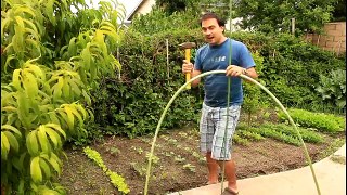 Easy and Simple Cucumber Trellis for Vertical Growing by the California Gardener