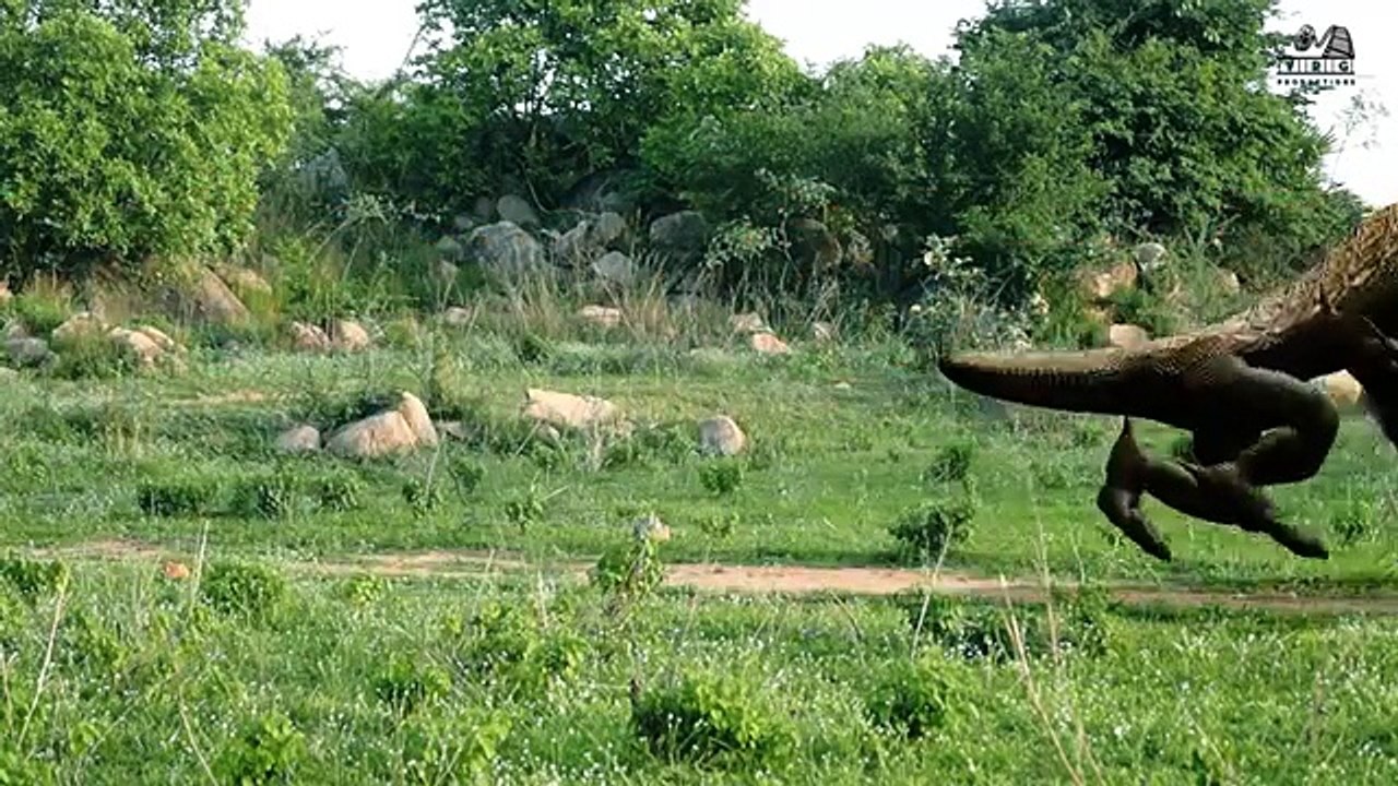 Temple Run Blazing Sands- In Real Life