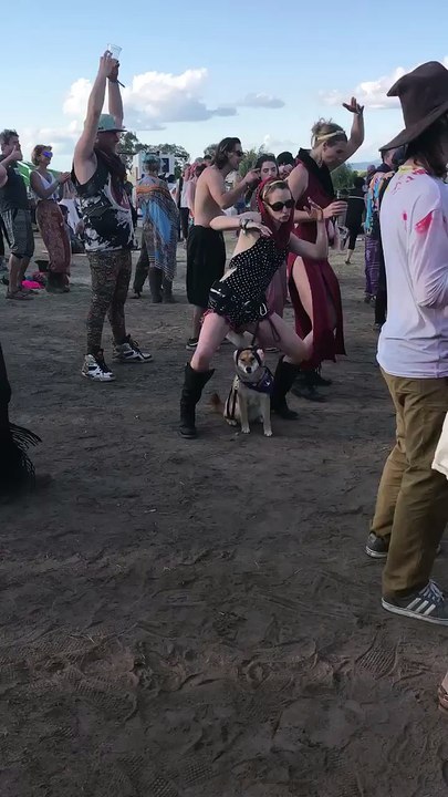Dog is Done with Dancing