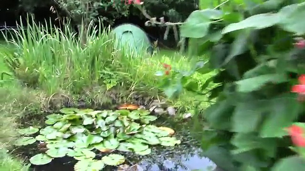 One Woman And A Horse, Riding Along The South Wexford Coast – Part One!