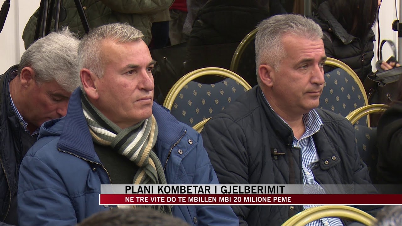 Plani kombëtar i gjelbërimit - News, Lajme - Vizion Plus