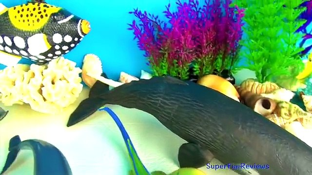 Shark Collection Toys Humpback Whale Fish Stingray Triggerfish Toys for Kids Tiburón, Tubarão