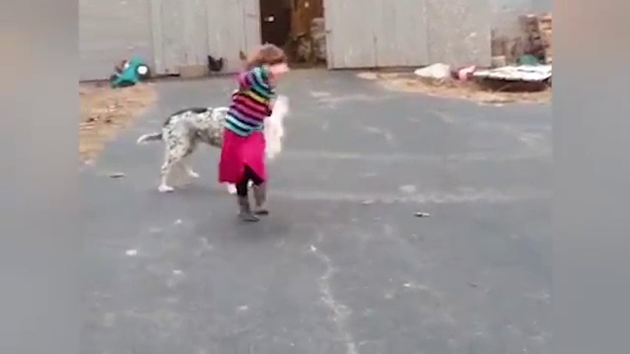 Funniest Animals Scaring People Reactions of 2018 | Weekly Compilation | Kyoot Animals