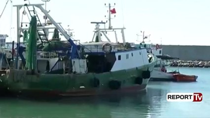 Report TV - Monitorimi i anijeve, peshkatarët: Ka defekt tek serveri i QNOD
