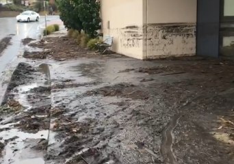 Clean-Up Begins After Wild Weather Slams Hobart