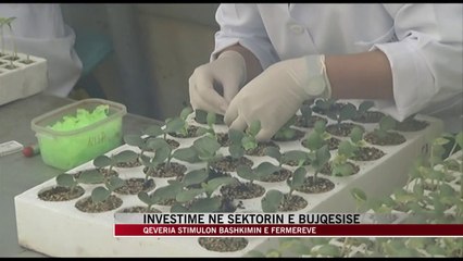 Investime në sektorin e bujqësisë - News, Lajme - Vizion Plus
