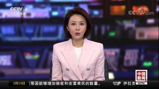 [中国新闻]全球圈养大熊猫种群规模达520只 | CCTV中文国际