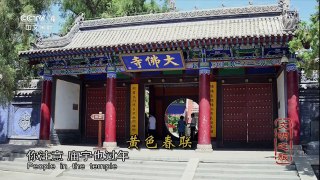 《文明之旅》 20180210 王作楫：说年道节度新春 | CCTV中文国际
