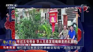 《华人世界》 20180119 改变历史 德国华人参加法兰克福市长竞选 | CCTV中文国际