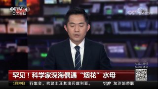 [中国新闻]罕见！科学家深海偶遇“烟花”水母 | CCTV中文国际