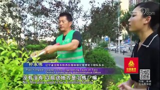 《走遍中国》 20180129 4集系列片《重生》（1）铁西区的蜕变之路 | CCTV中文国际