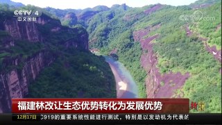 [中国新闻]新时代 新气象 新作为（三） 福建林改让生态优势转化为发展优势 | CCTV中文国际