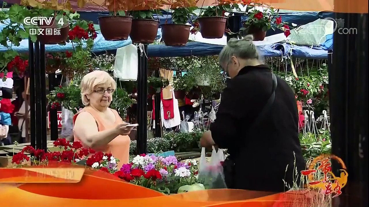 《远方的家》 20180115 一带一路（294）塞尔维亚 生活在贝城 | CCTV中文国际