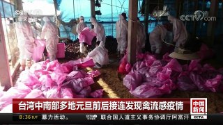 [中国新闻]台湾中南部多地元旦前后接连发生禽流感疫情 | CCTV中文国际