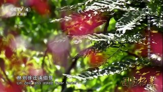 《国宝档案》 20171201 岭南往事——百年西医医院 | CCTV-4