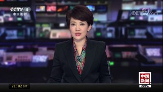 [中国新闻]中国外交部：密切关注津巴布韦局势发展 | CCTV-4
