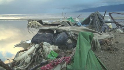 Mjelmat mes plehrave - Top Channel Albania - News - Lajme