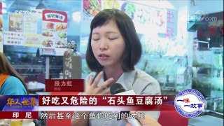《华人世界》 20171023 印尼，好吃又危险的“石头鱼豆腐汤” | CCTV-4