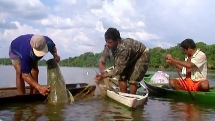 Amazonas Dorado (parte 3)