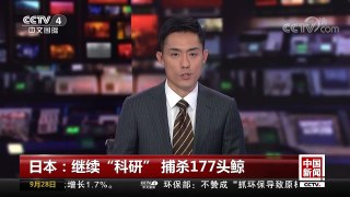 [中国新闻]日本：继续“科研” 捕杀177头鲸 | CCTV-4
