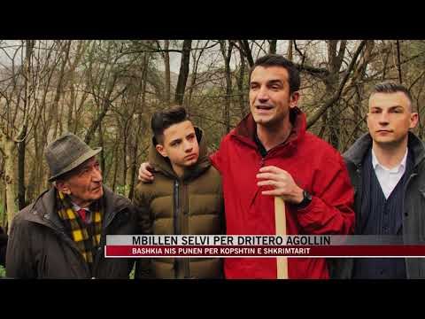 Mbillen selvi per Dritero Agollin - News, Lajme - Vizion Plus