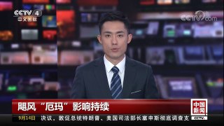 [中国新闻]飓风“厄玛”影响持续 迈阿密街头 小偷“趁乱打劫” | CCTV-4