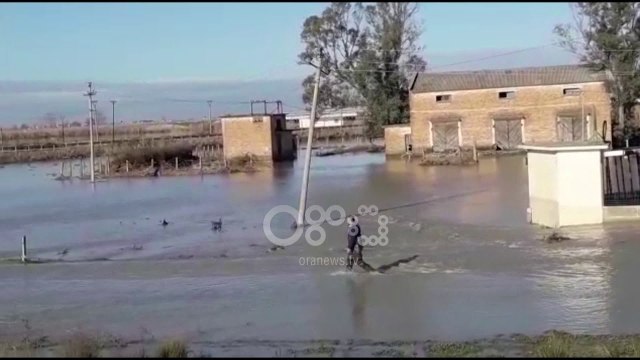 Ora News - Përmbytjet në Fier, 100 shtëpi nën ujë, 15 familje të evakuara