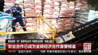 [中国新闻]锻造金砖（四）金砖农业合作 共建农业发展“高速公路” | CCTV-4