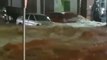 Flash Floods Sweep Away Cars Outside Hobart Hospital