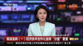 [中国新闻]锻造金砖（一）经济技术合作让金砖“分量”更重 | CCTV-4